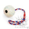 Freezack Jouet pour chiens Rubber Pimpel Ball M