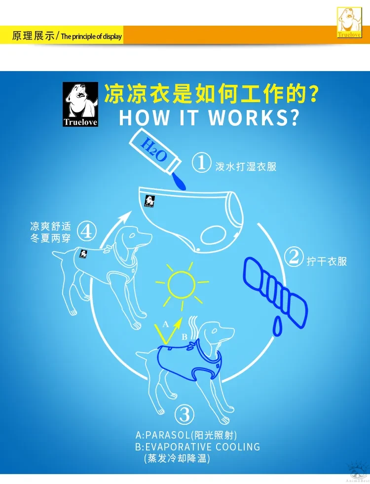 Gilet rafraichissant Truelove – Image 8