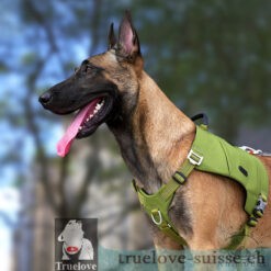 Harnais backpacker Truelove