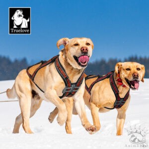 Harnais de traction Truelove