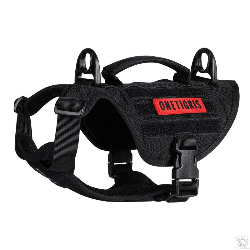 Harnais pour petit chien