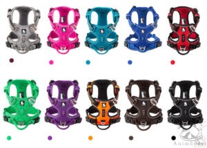 Harnais réfléchissant Truelove