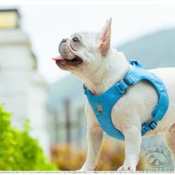 Harnais Truelove en matériaux recyclés