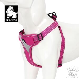 Harnais Truelove training