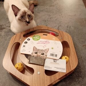 Hexagone de jeu en bois et griffoir