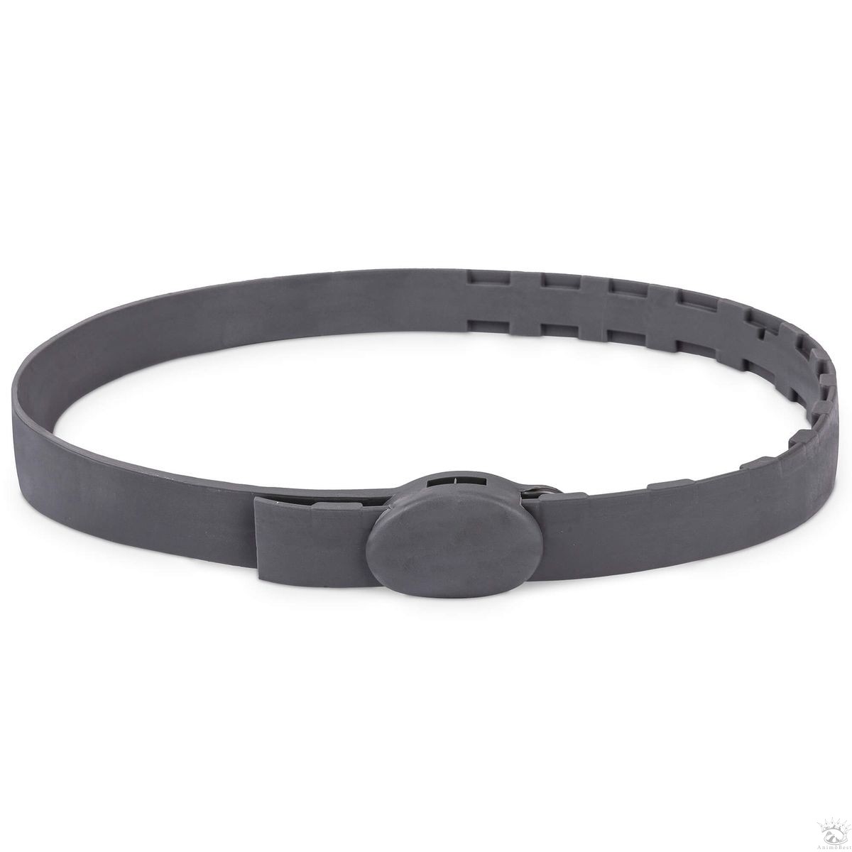 In-Fluence collier antiparasitaire pour chiens