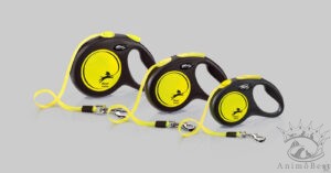 Laisse à enrouleur pour chiens Flexi Neon sangle (5m)
