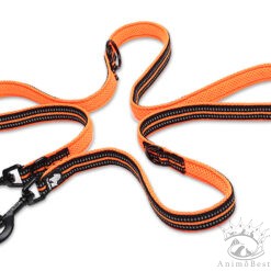 Laisse multifonction 7/1 Truelove