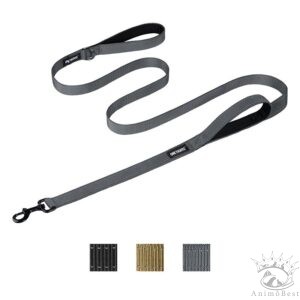 Laisse pour chien OneTigris