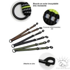 Accouplement de laisse Truelove pour 2 chiens