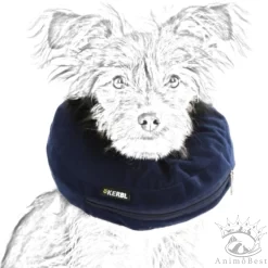 Location de collerette gonflable pour chien