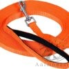 Longe de pistage et de dressage pour chien 10 m en nylon plat