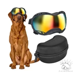 Lunettes de Soleil pour Chien ONETIGRIS