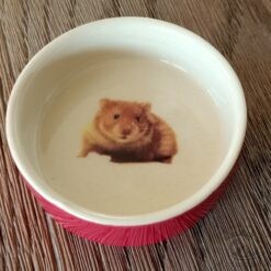 Mangeoire rongeur terre cuite hamster