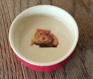 Mangeoire rongeur terre cuite hamster