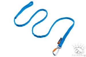 Non-stop Bungee leash