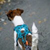 Non-stop dogwear Rush harness