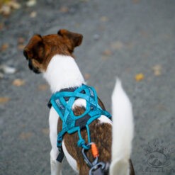 Non-stop dogwear Rush harness