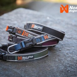 Non-stop Roam collar