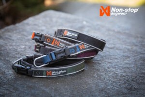 Non-stop Roam collar