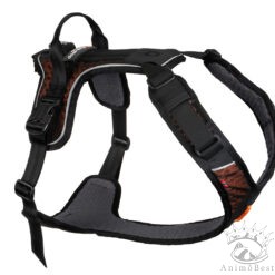 Non-stop Rock harness