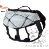Non-stop Trail light dog backpack