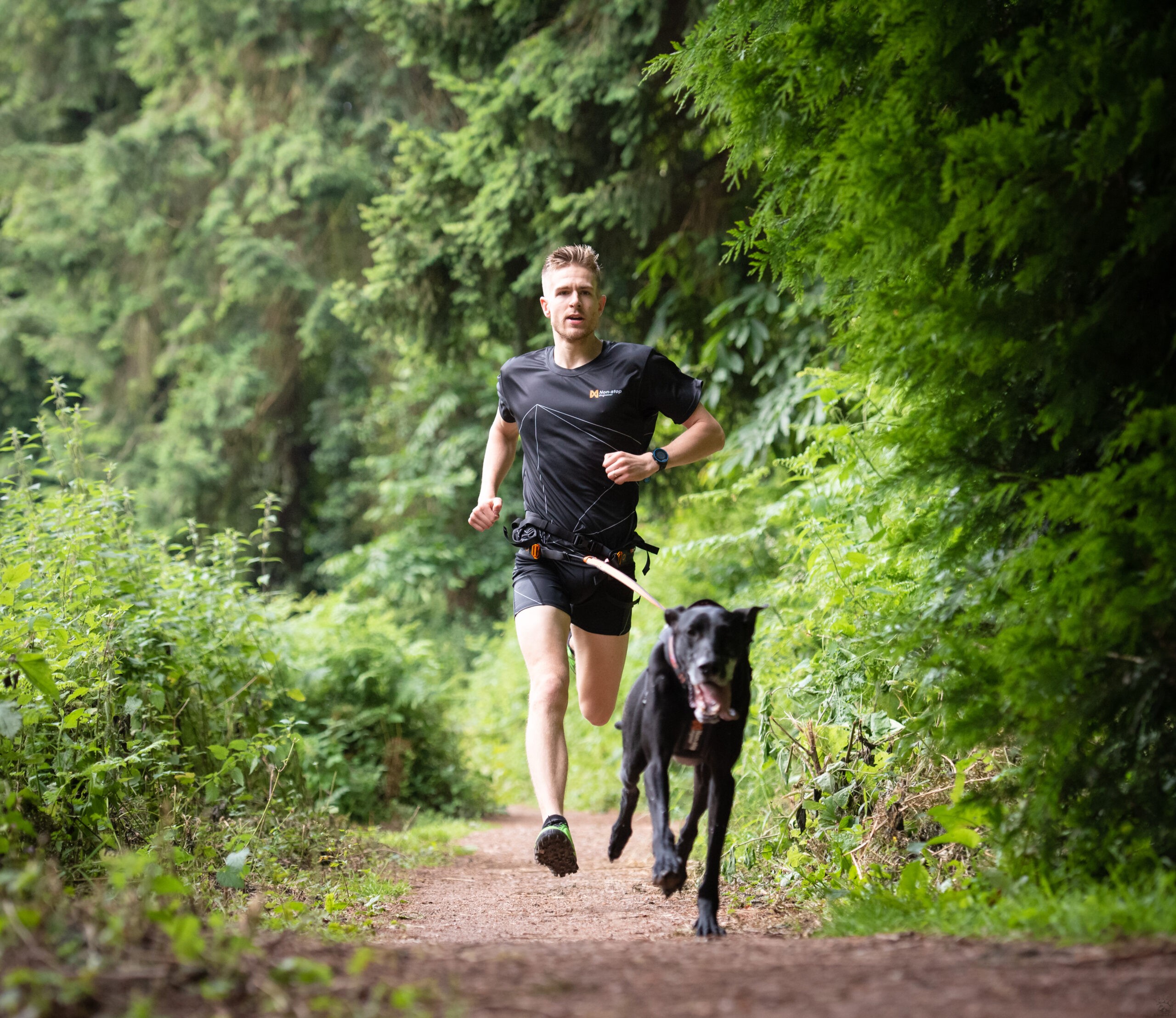 Non-stop CaniX belt – Image 12