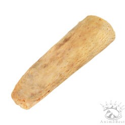 Noyau de corne de buffle