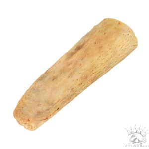 Noyau de corne de buffle