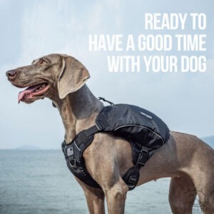 OneTigris CAMELUS Dog Pack