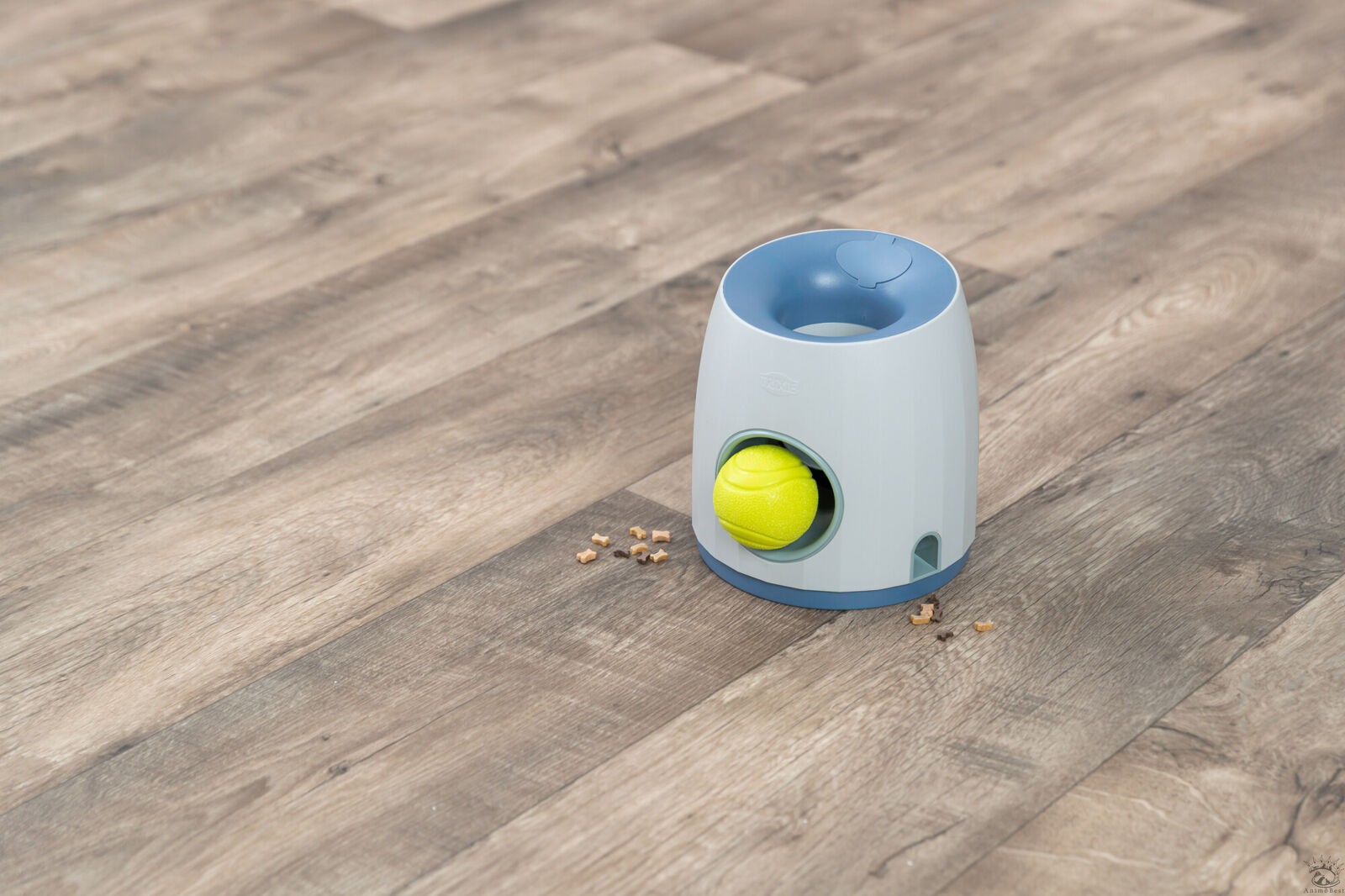 Dog Activity jeu de stratégie Ball & Treat – Image 4