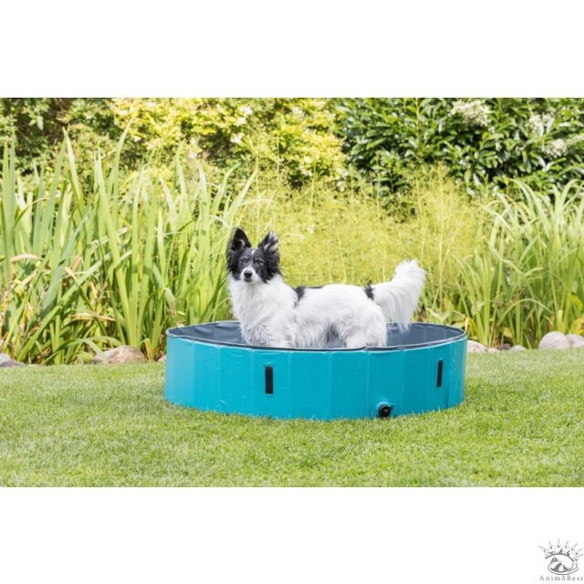 Piscine pour chiens Trixie – Image 6