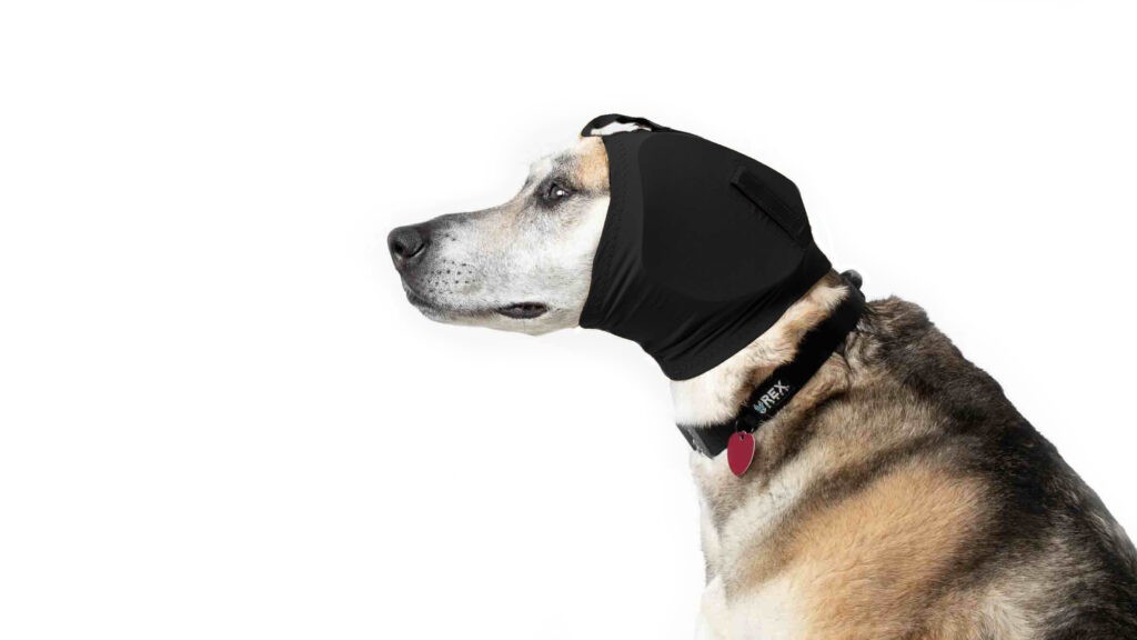 Rex Specs Ear Pro