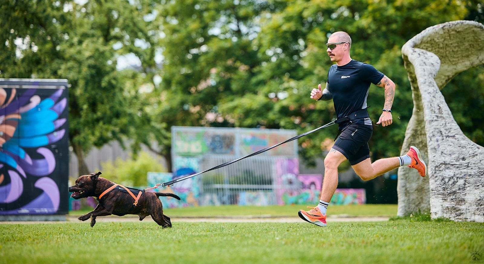 Non-stop Rush belt – Image 3