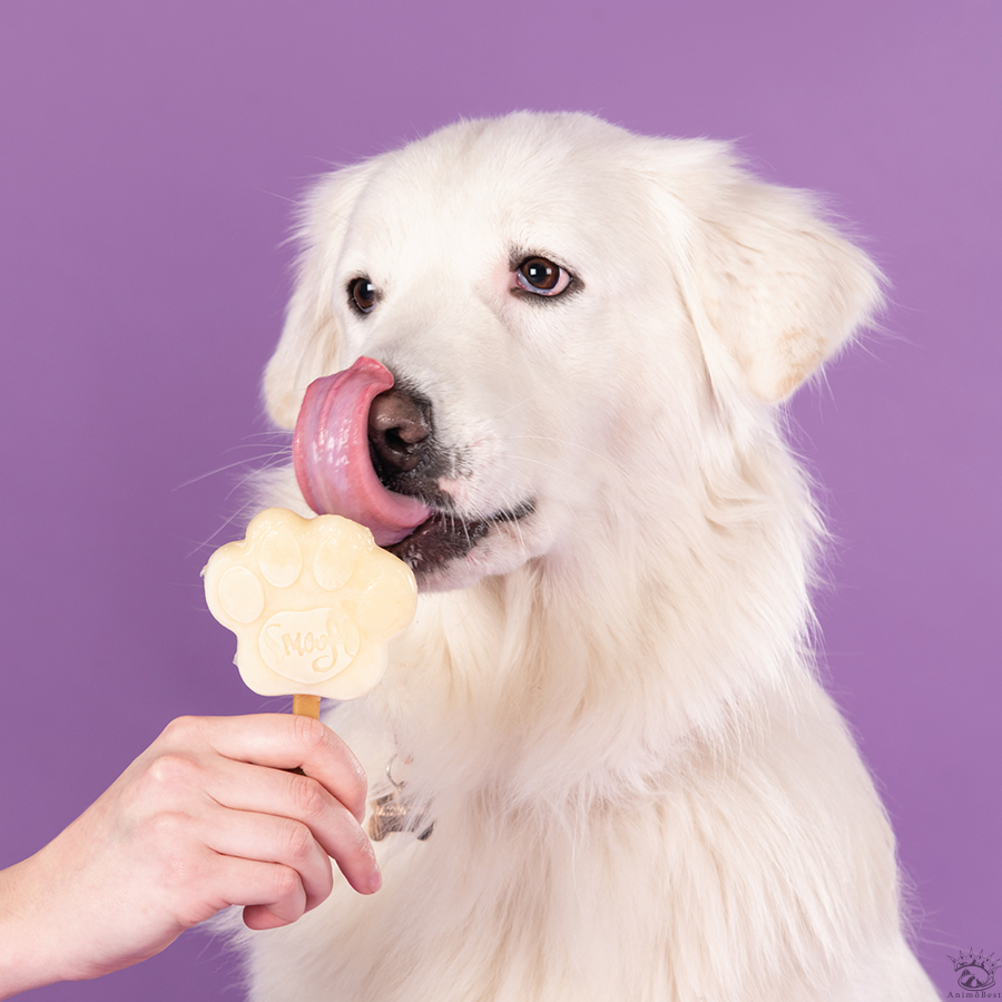 SMOOFL Glace à la banane pour chien – Image 2
