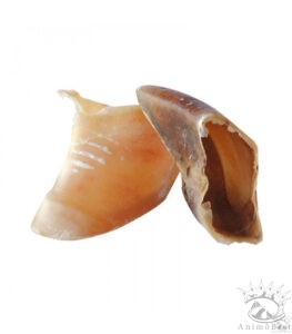 Sabot de veau - en VRAC