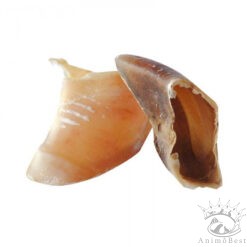 Sabot de veau - en VRAC