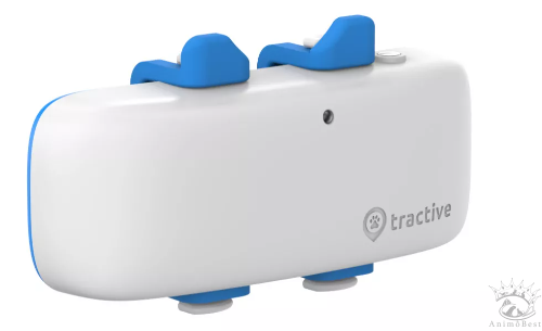 Traceur GPS Tractive pour chien – Image 6