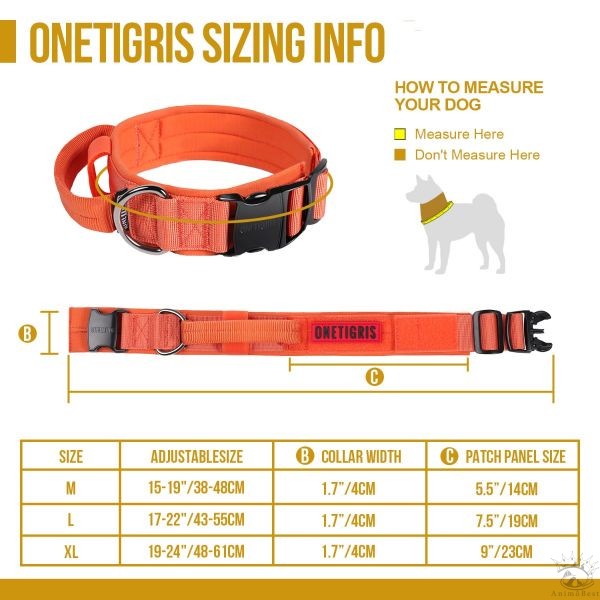 Collier pour chien en nylon et boucle métallique OneTigris – Image 5