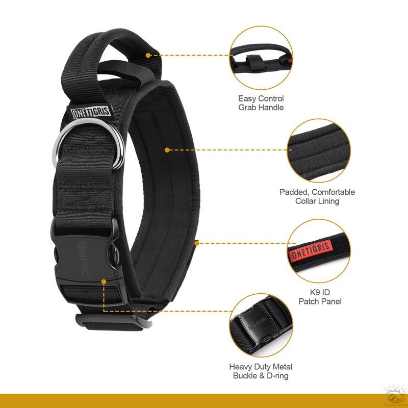 Collier pour chien en nylon et boucle métallique OneTigris – Image 3