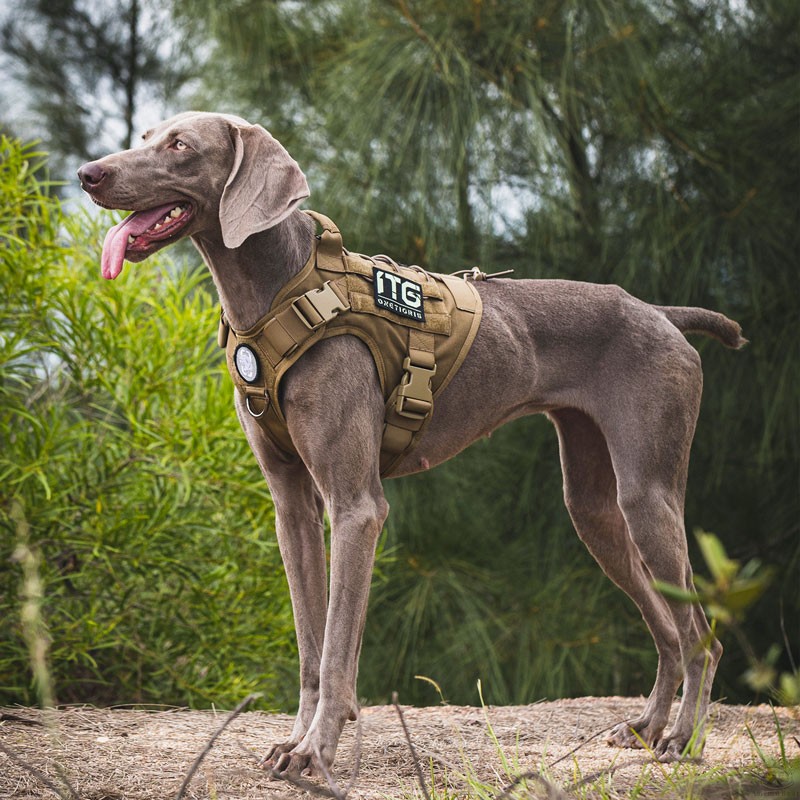 Harnais FIRE WATCHER 2.0 OneTigris – Image 6