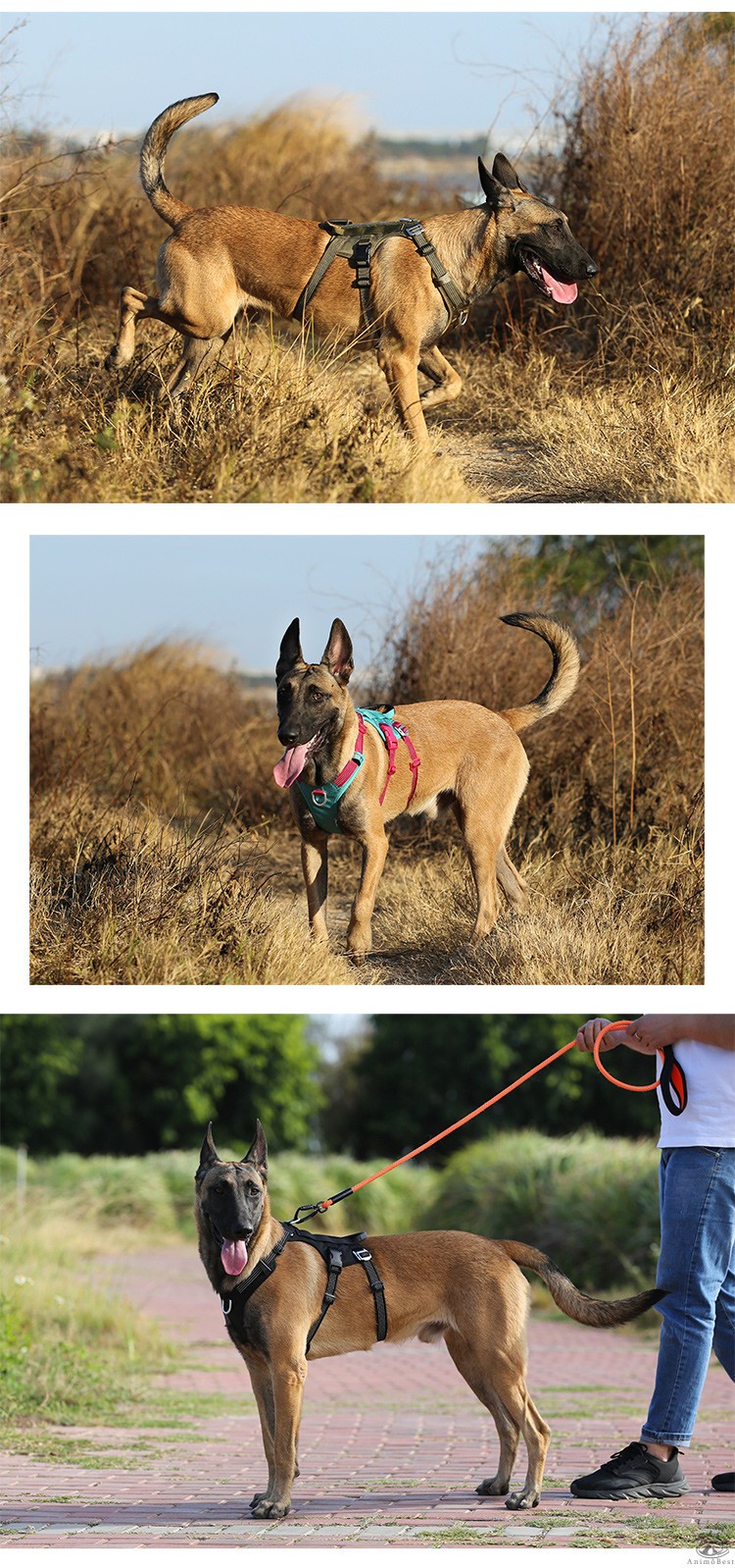 Escape proof harnais Truelove – Image 9