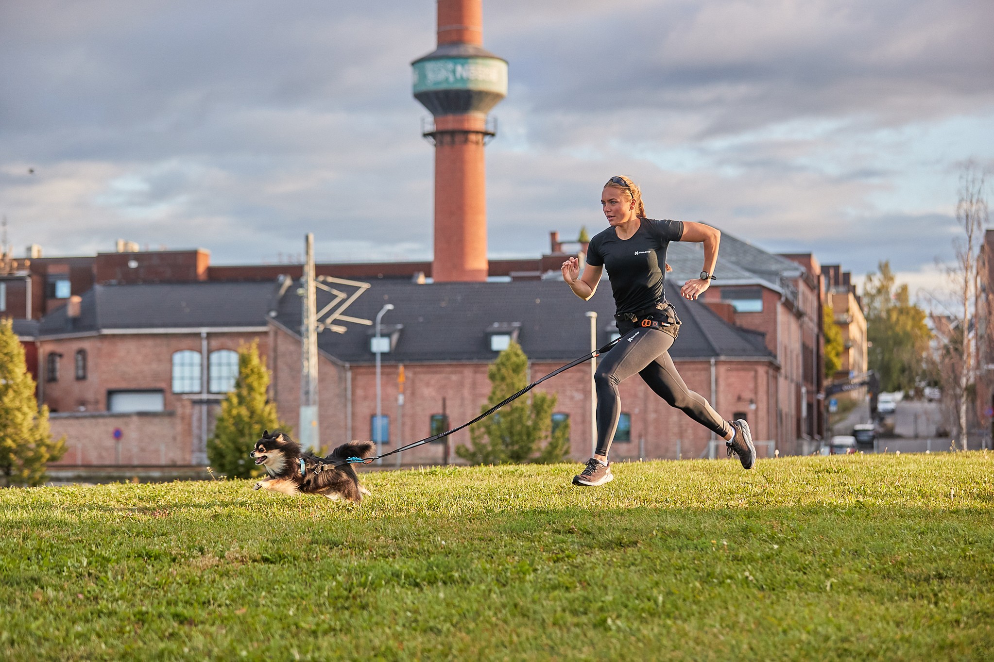 Non-stop Touring Bungee – Image 7