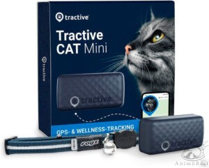 Traceur GPS Tractive pour chat
