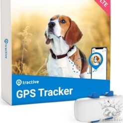 Traceur GPS Tractive pour chien