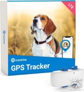 Traceur GPS Tractive pour chien
