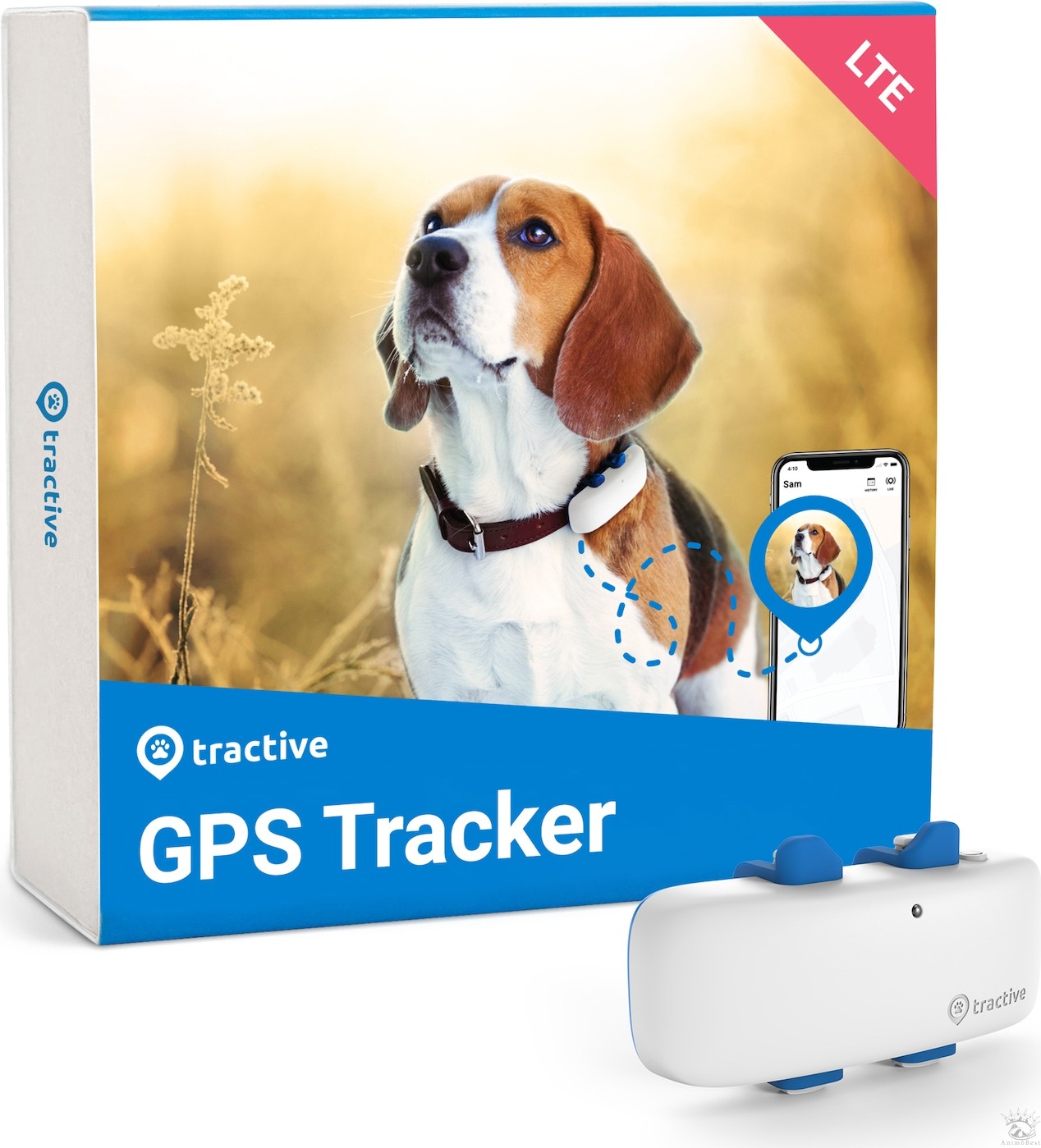 Traceur GPS Tractive pour chien