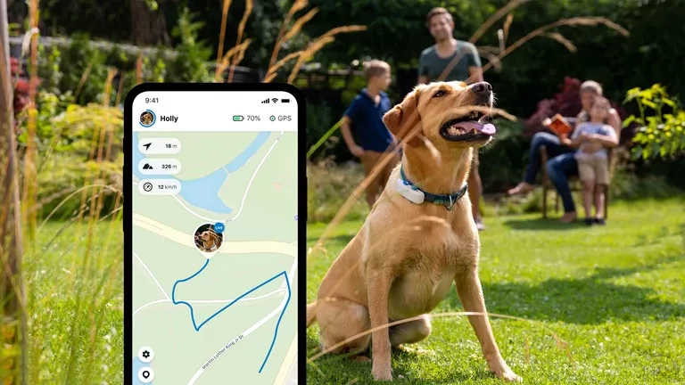 Traceur GPS Tractive pour chien – Image 3