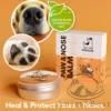 Baume pour les pattes et la truffe DogsLife 60ml