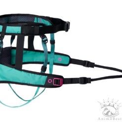 Non-stop CaniX belt 2.0 - Aqua/Pink